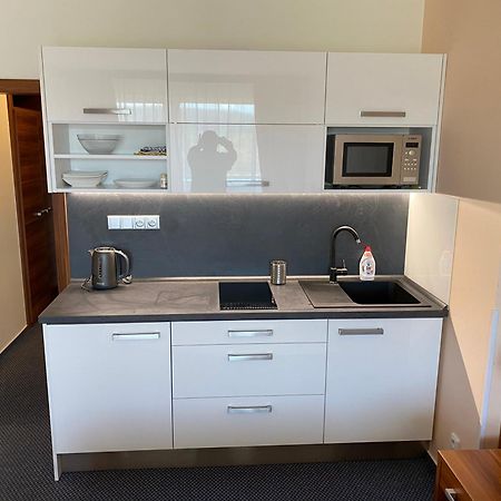 Apartmany Wellness Фримбурк Екстер'єр фото