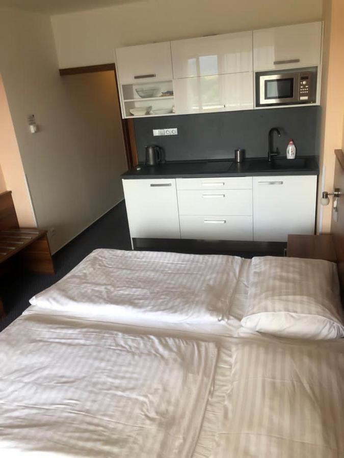 Apartmany Wellness Фримбурк Екстер'єр фото